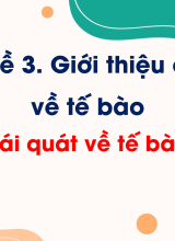 Bài 4. Khái quát về tế bào (Tiết 1)